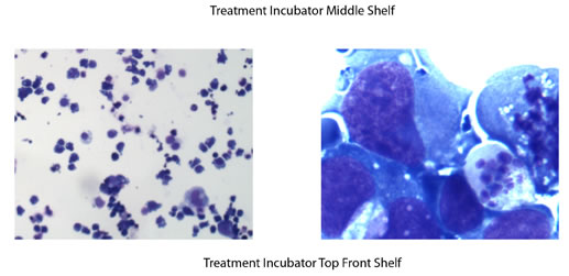 Treatment_Incubator_Top_Front_Shelf